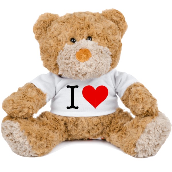 Medvídek Teddy s potiskem Plyšový medvídek